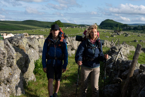 DIE CAMINO-THERAPIE – FINDE DEINEN WEG