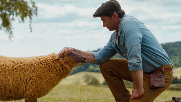 GLENNKILL: EIN SCHAFSKRIMI  - Kino Ebensee