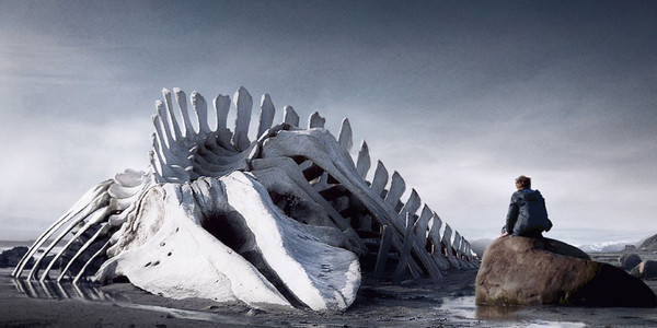 Leviathan (RUS 2014)  - Kino Ebensee